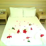 Summer Rose 3* Side
