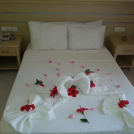 Summer Rose 시데